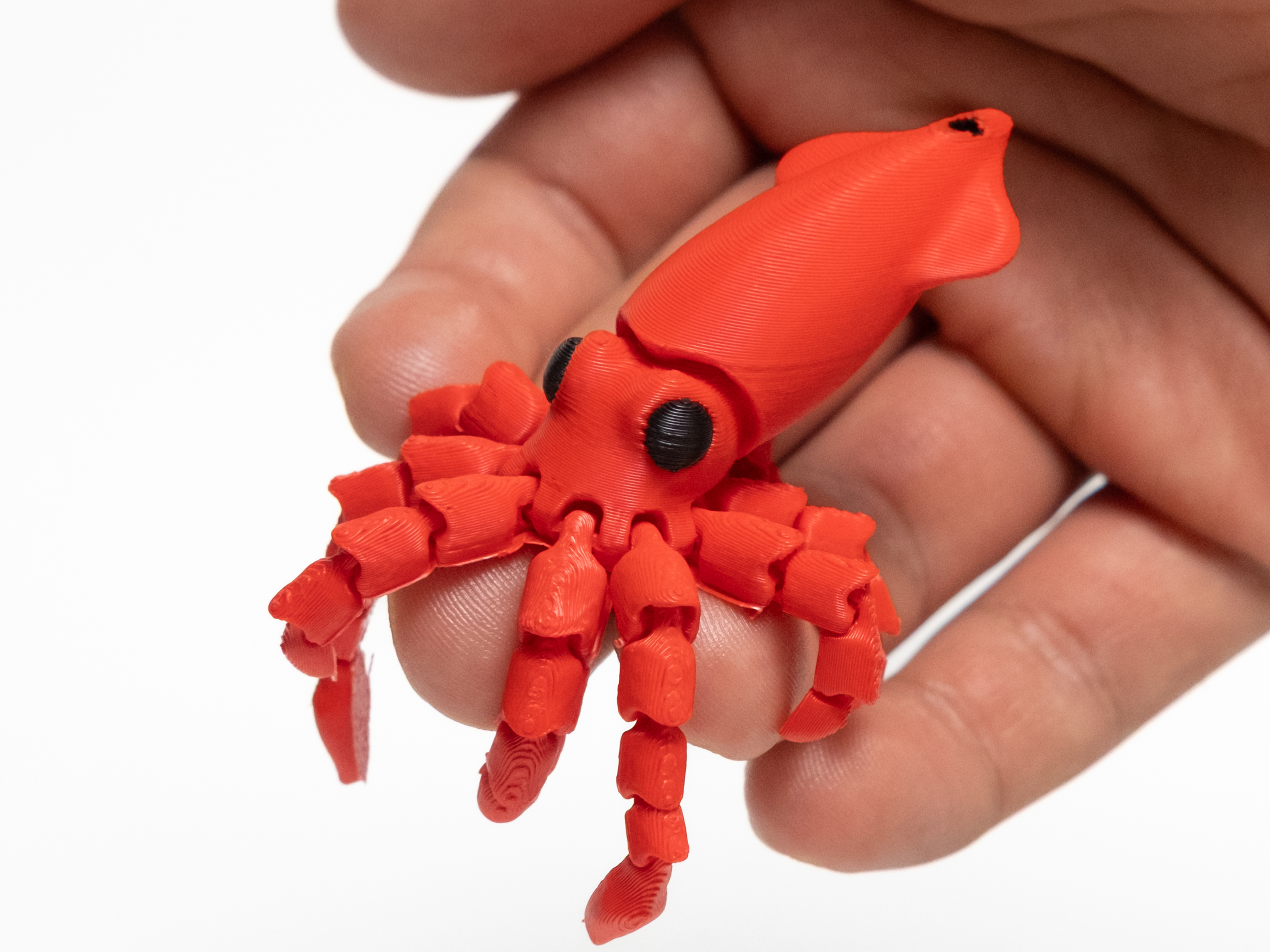 Miniatura 1 do modelo 3D Flexi squid Articulated 