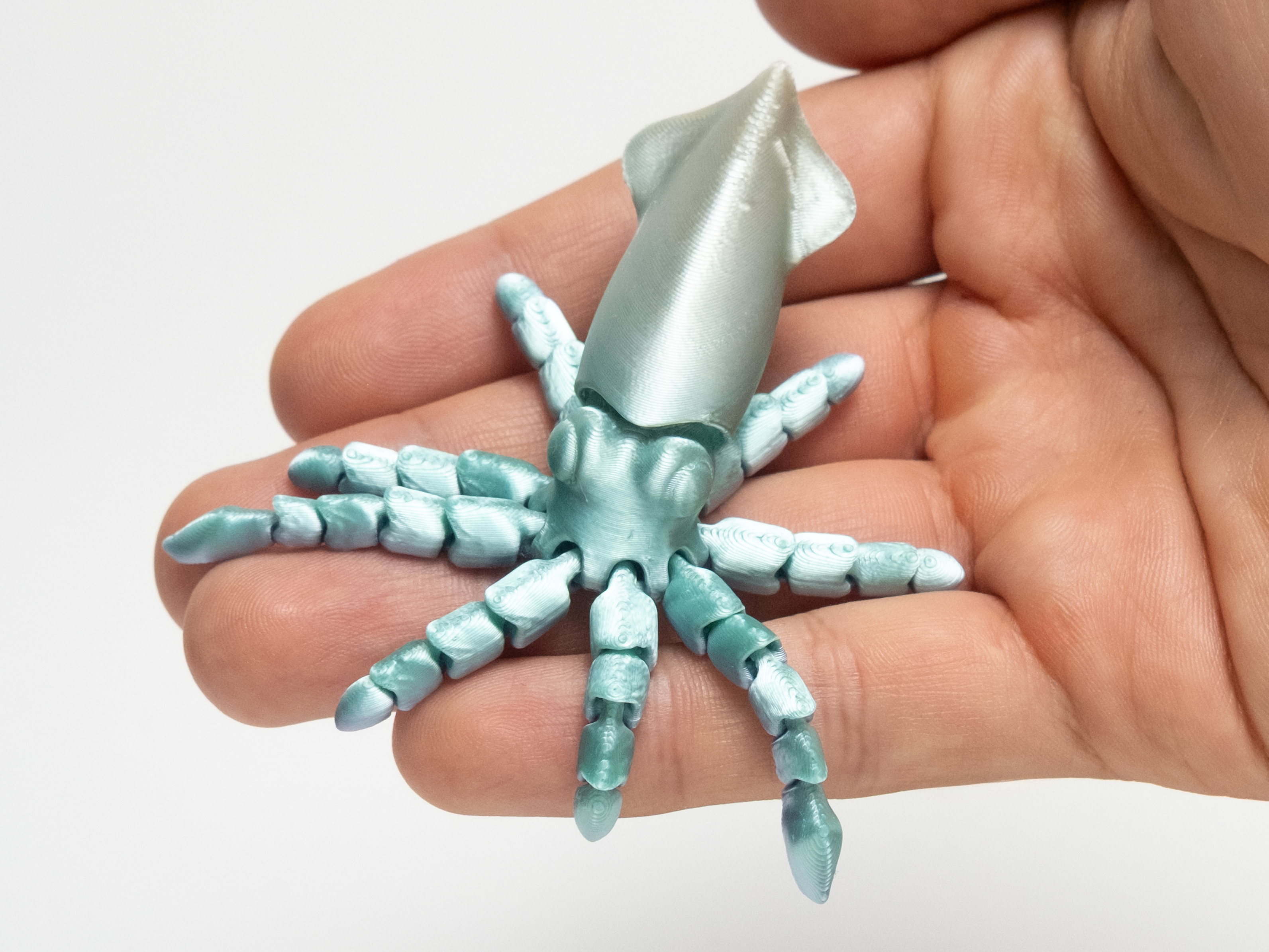 Miniatura 2 do modelo 3D Flexi squid Articulated 