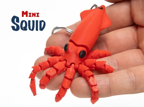 https://makerworld.bblmw.com/makerworld/model/US9a8cb0a42500cc/design/08d0c6affcc68f2b.jpg