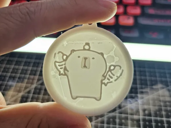https://makerworld.bblmw.com/makerworld/model/US9a8cec5acbcfe3/design/2025-04-23_285ae76f0b08f.jpg