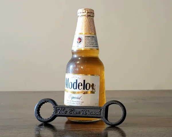 https://makerworld.bblmw.com/makerworld/model/US9a8d29d4803389/design/2024-11-02_12698325caec8.jpg