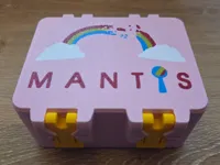 5 colors, 0.2mm layer, 2 walls, 15% infill