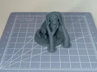 0.2mm layer, 2 walls, 5% infill