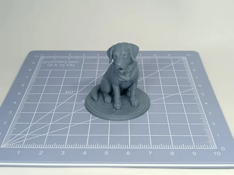 Labrador Miniature