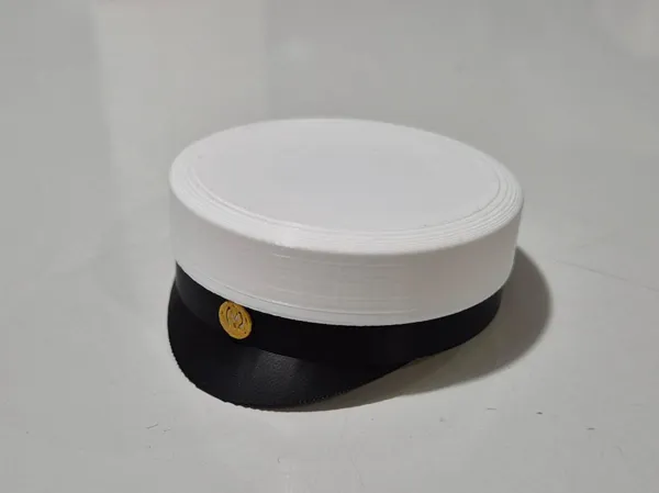 https://makerworld.bblmw.com/makerworld/model/US9aa64a3c4ef567/design/2025-04-03_5778d5fef0692.jpg