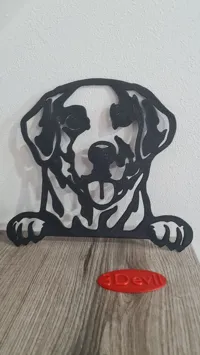 Décoration murale 2D chien — photo 4