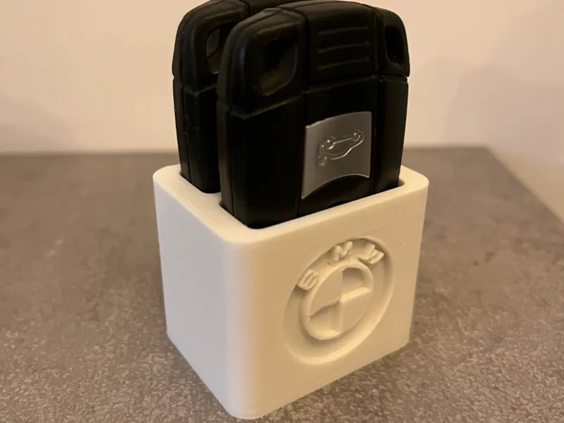 BMW key holder organizer with logo