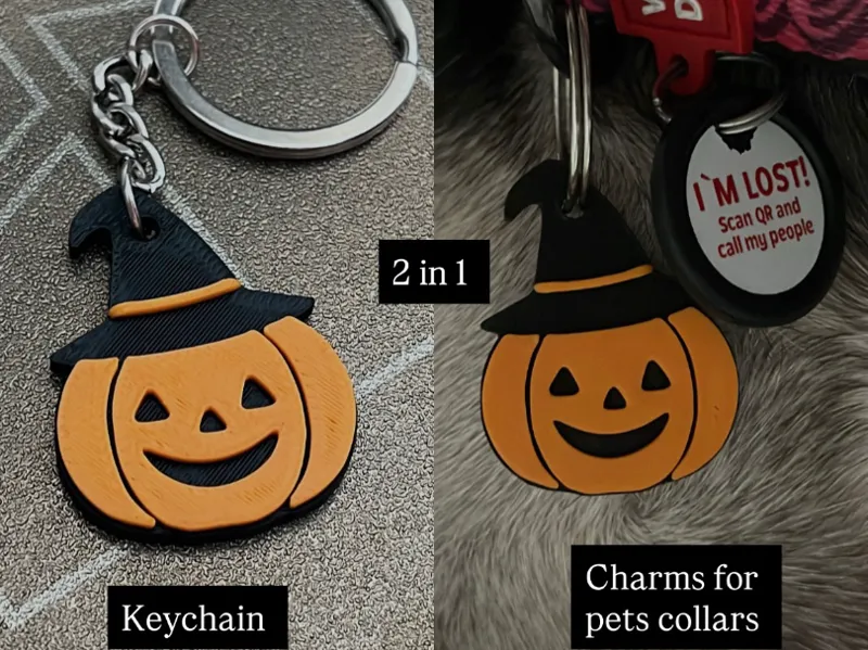 Halloween pumpkin pet charm / keychain