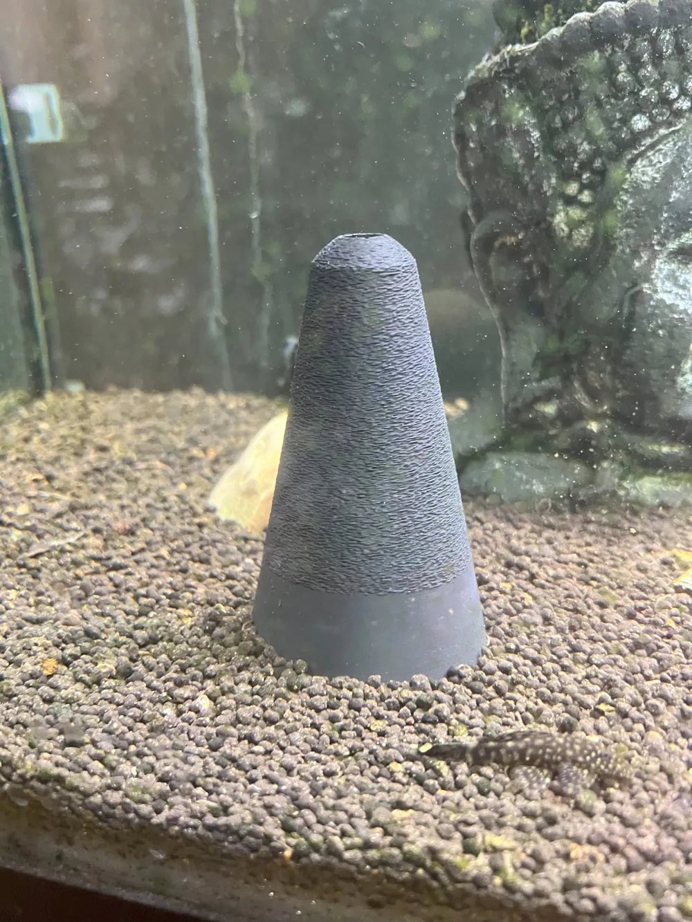Angelfish Egg Cone by ArnauMakerWorld: Download Free 3D Models