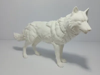 Realistic Wolf