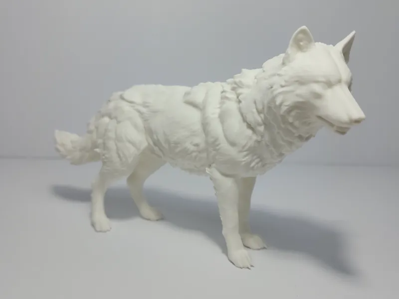 Realistic Wolf