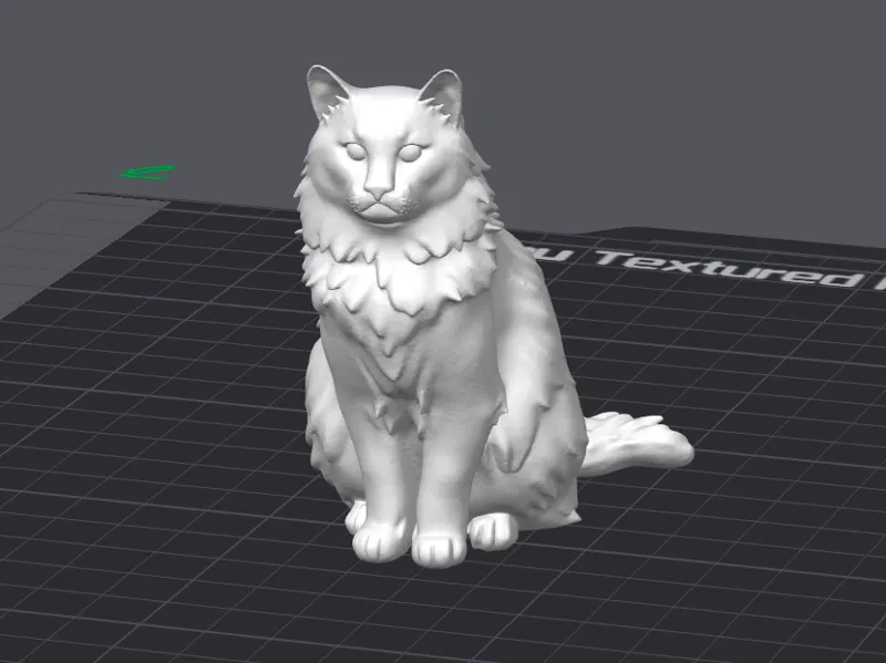 Norwegian Forest Cat 3D Model