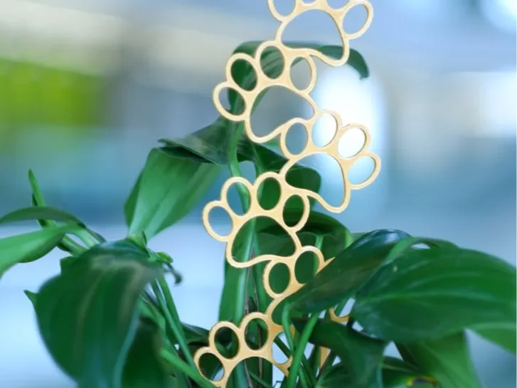 Paw Print Plant Trellis