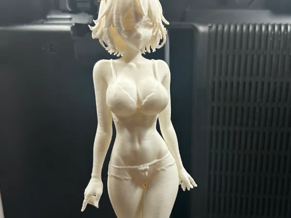 https://makerworld.bblmw.com/makerworld/model/US9ab41bc3b06eec/design/2025-09-15_f599d11d67538.png