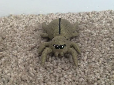 Cute Halloween Spider