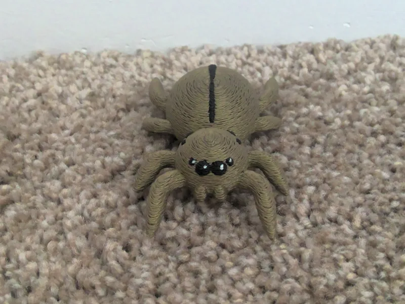 Cute Halloween Spider