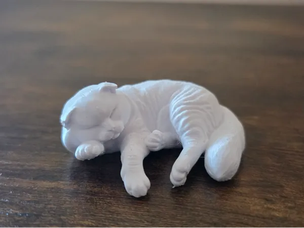 https://makerworld.bblmw.com/makerworld/model/US9aba5978b4be2b/design/026411dc9fcde707.jpg