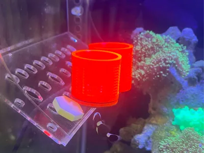 Coral Rock Box, Isolation Box, Breeding Box.