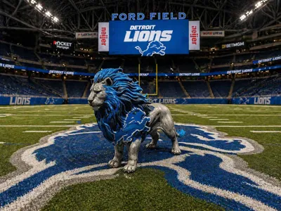 NFL - Detroit Lions Sculpt