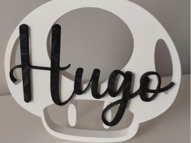 Seta Mario Hugo