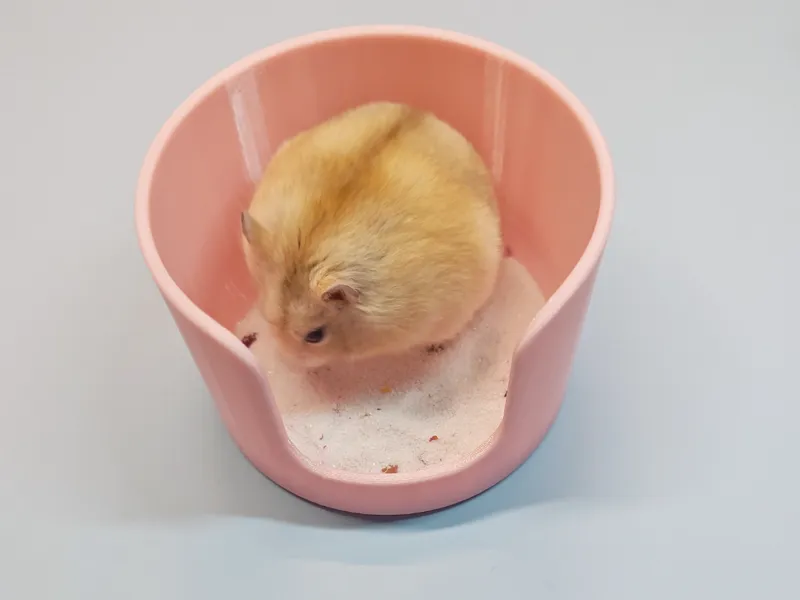 Hamster Bath Sand Bathing Bowl