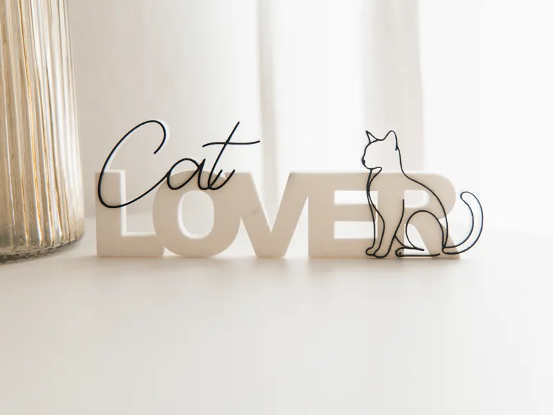 Cat Lover