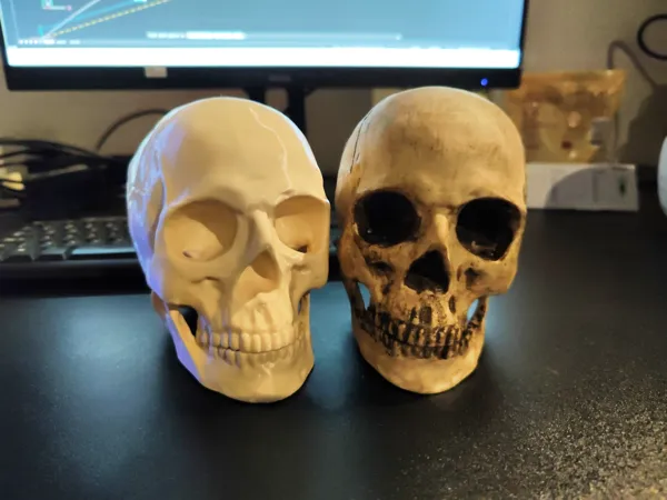 https://makerworld.bblmw.com/makerworld/model/US9ac45784485ff3/design/2024-03-13_2e4c865415ef.jpg