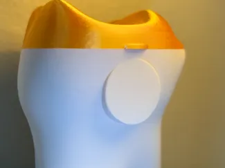Molar Tooth Container With Lid