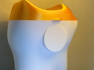 Molar Tooth Container With Lid
