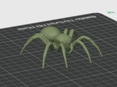 Halloween Spider