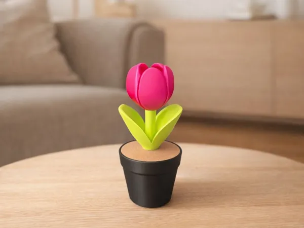 https://makerworld.bblmw.com/makerworld/model/US9acbaf380a237c/design/a90d263538f817f2.png