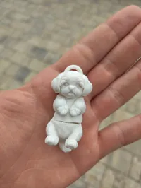 Single-Color (No AMS) 0.2mm layer, 2 walls, 15% infill