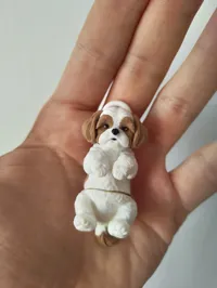 Standard Version (faster print without black paws)
