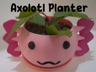 Auto Draining Multicolor Axolotl Planter!