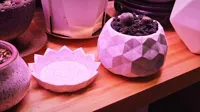 Vase ananas pour succulentes — photo 3