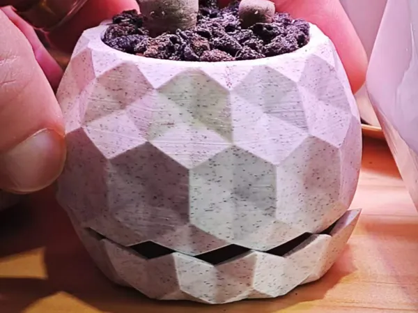 Vase ananas pour succulentes