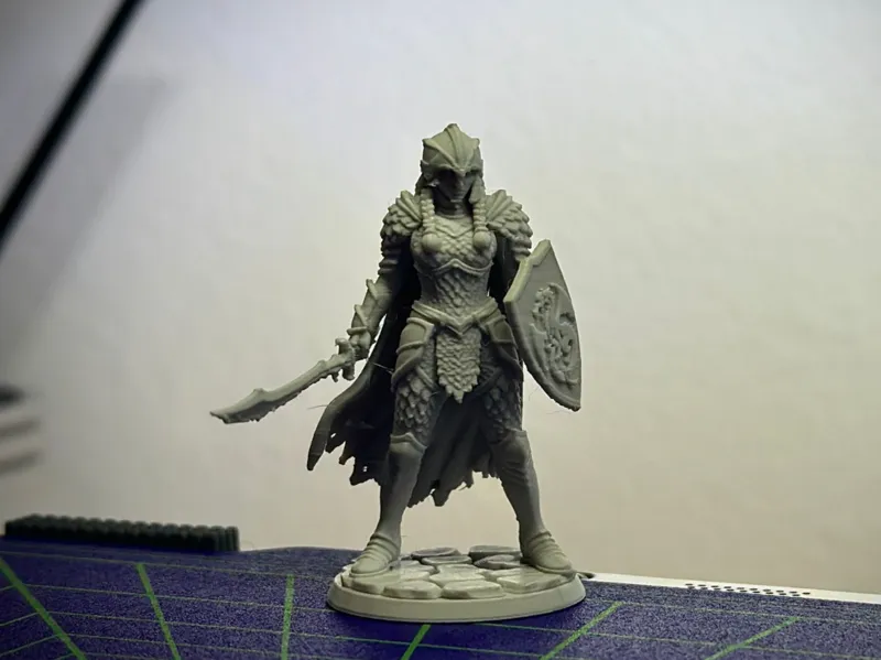 Legendary Dragon Slayer Warrior