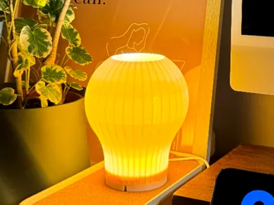 IdeaBulb Lamp for Bambu LED Lamp Kit