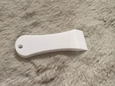 Bed Scraper Keychain 