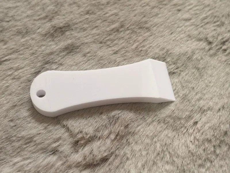 Bed Scraper Keychain 