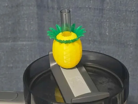 pineapple straw topper
