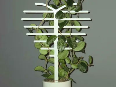 Plant support heart shape