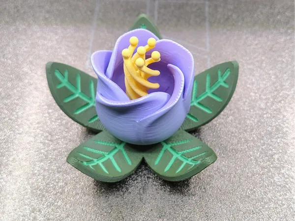 https://makerworld.bblmw.com/makerworld/model/US9af021a34b75be/design/2025-01-18_ca1c37e63c2a6.jpg
