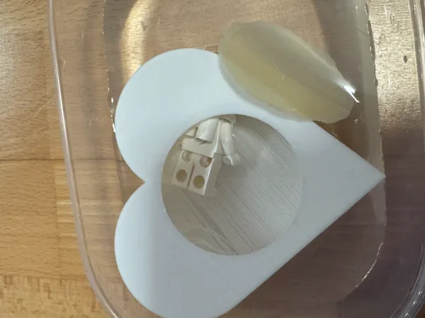 https://makerworld.bblmw.com/makerworld/model/US9af0a93d62b81b/design/2025-02-06_bbe3b9f1e3fa8.jpg