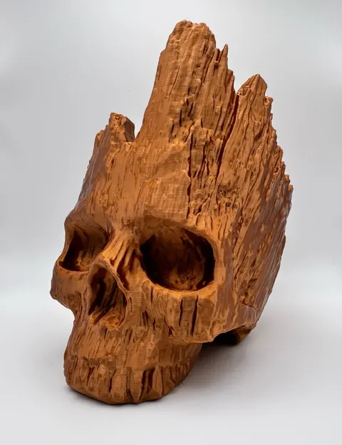 https://makerworld.bblmw.com/makerworld/model/US9af3a423bf108e/design/2024-09-04_1e9424ee758b5.jpeg