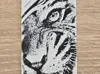 0.08mm layer, 1 walls, 15% infill