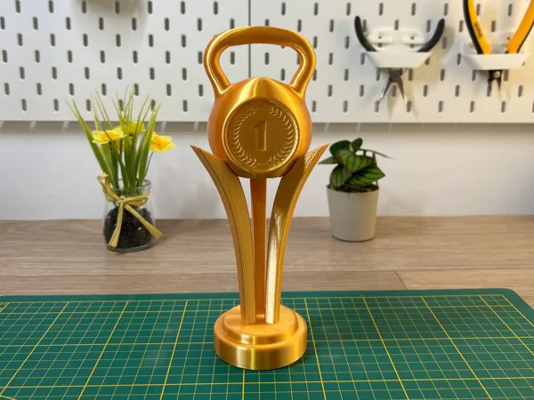 https://makerworld.bblmw.com/makerworld/model/US9b02676942e375/design/2025-07-04_e94486a1bacbf.jpg