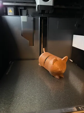 Slinky Neko Cat