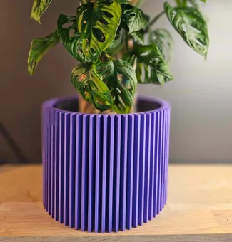 Fancy plant pot