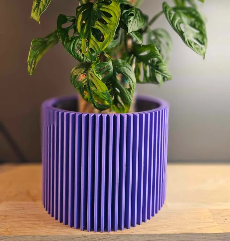 Fancy plant pot